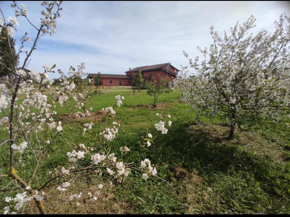 Il Casale Di Giulia Di Aprilia Bed & Breakfast エクステリア 写真